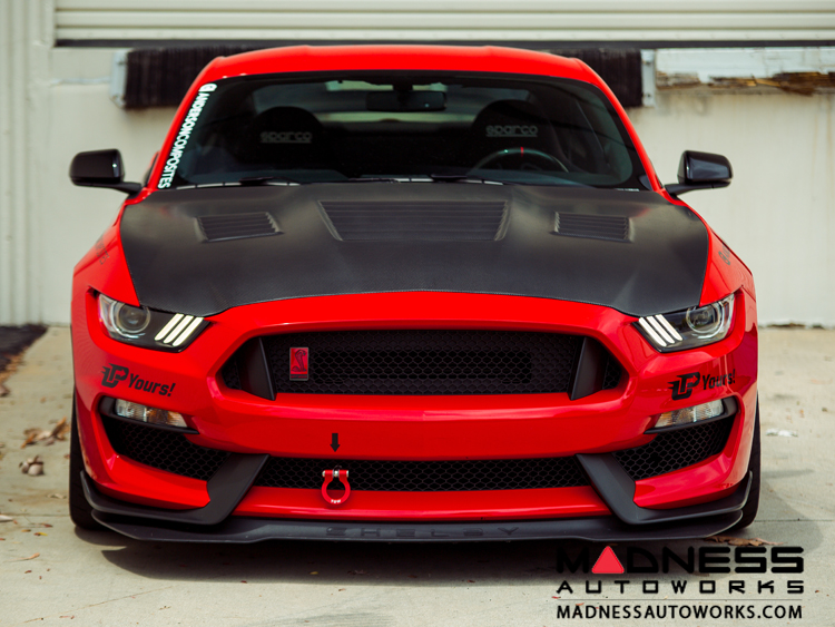 Ford Shelby GT350 Mustang Carbon Fiber Hood - Dry
